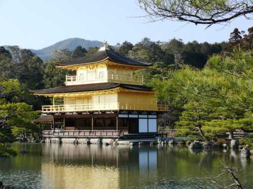 MARATONA DI TOKYO 2015 2013